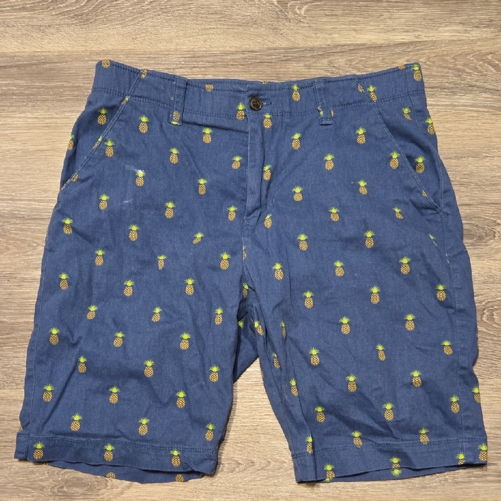 Plugg Flex Pineapple Print Shorts Sz 32